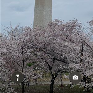 Meet your Posher, Amelia